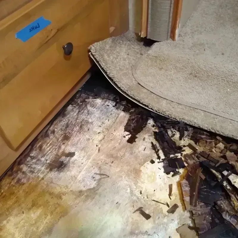 Wood Floor Water Damage in Golden Beach, MD